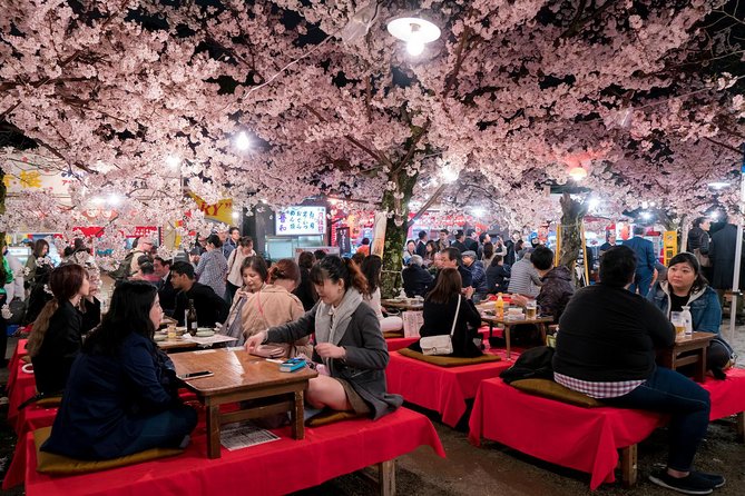 Private & Unique Kyoto Cherry Blossom "Sakura" Experience - Booking and Contact Details