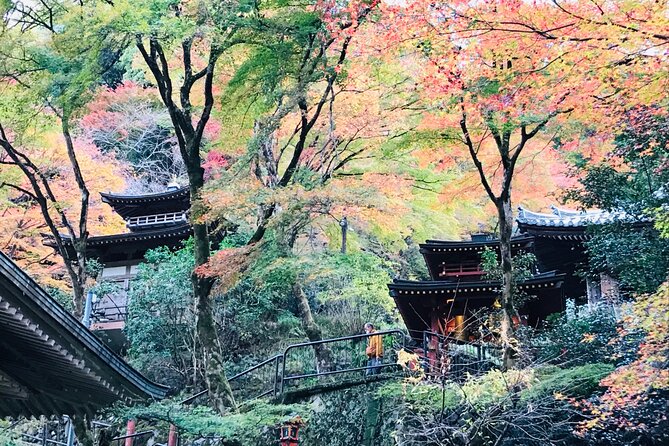 Private Walking Tour in Bamboo Forest & Hidden Spots in Arashiyama - Customer Reviews and Ratings