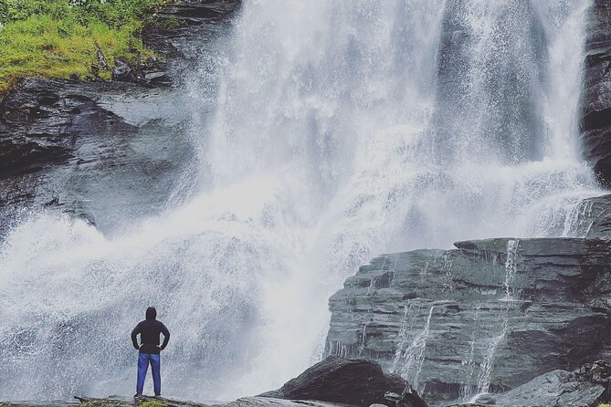 Private Waterfalls and Wonders Tour in Norway - Common questions
