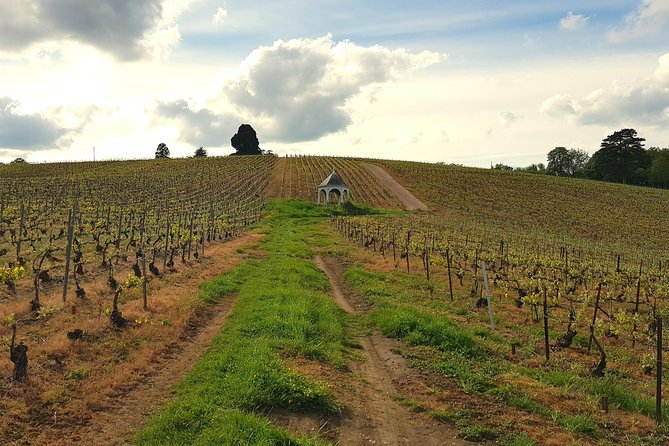Private Wine Tour to Champagne Region From Paris - Directions