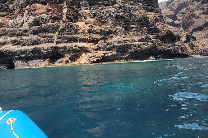 Puerto Colon to Los Gigantes Whale and Dolphin Sea Safari  - Tenerife - Traveler Reviews and Photos