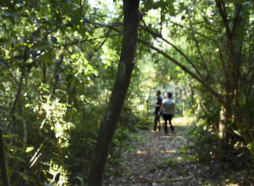 Puerto Iguazu: Jungle Horseback Ride With Guaraní Community - Safety Concerns Addressed