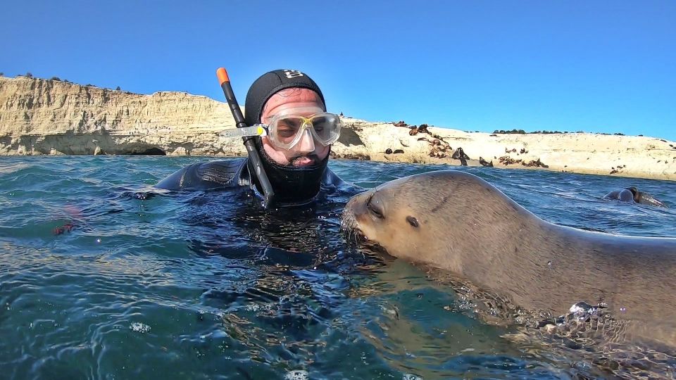 Puerto Madryn: 3-Hour Snorkeling Trip With Sea Lions - Location Details and Meeting Point