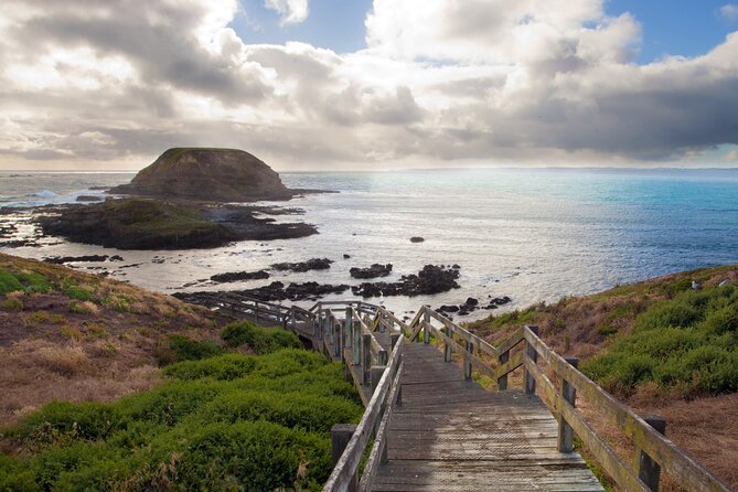 Puffing Billy And Phillip Island Penguin Parade Bus Tour - Transport and Weather Considerations