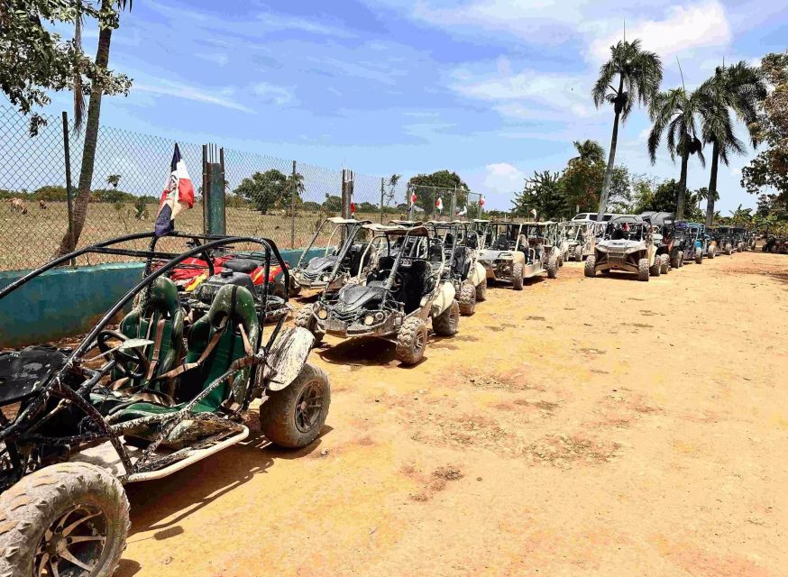 Punta Cana 4x4 Buggy Adventure - Common questions