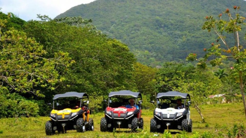 Punta Cana: Amazing Buggy Polaris and 4wheels - Domitai Caves Park and Taino Village