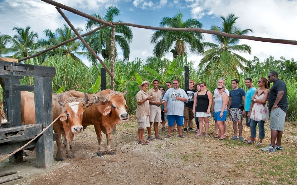 Punta Cana: Bavaro Runners Safari Tour - Customer Reviews and Testimonials