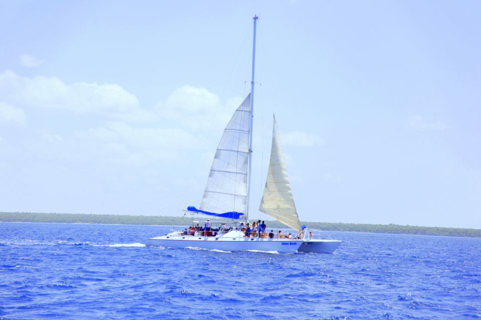 Punta Cana: Saona Island and Altos De Chavón Day Trip - Customer Reviews and Feedback