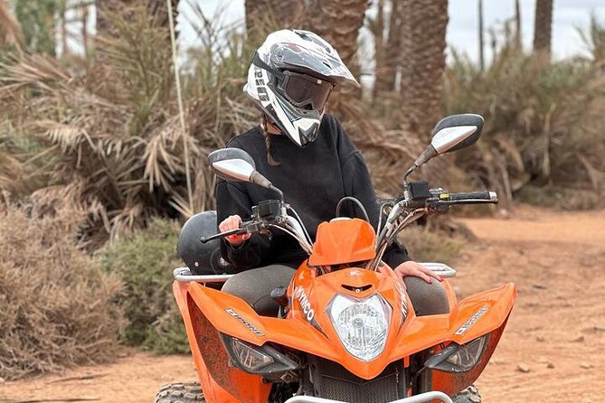 Quad and Camel Ride in the Palm Grove With Transport - Professional Guide Assistance Included