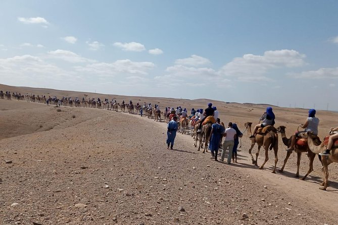 Quad Bike & Camel Ride Agafay & Dinner at Chouf L'Or Restaurant - Additional Information