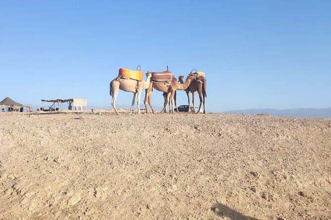 Quad Excursion to the Agafay Desert Near Marrakech - Last Words