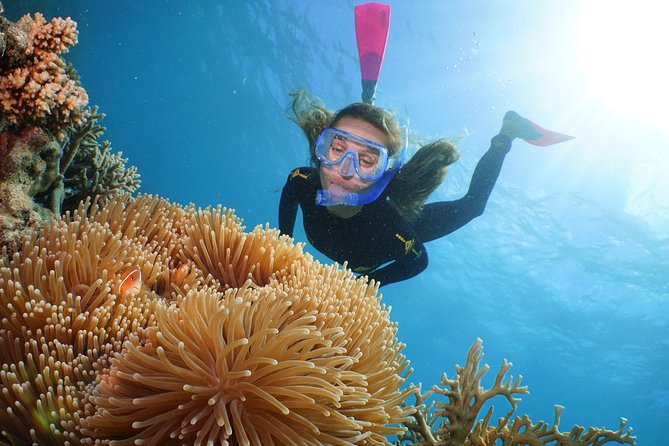 Quicksilver Outer Great Barrier Reef Snorkel Cruise From Port Douglas - Last Words