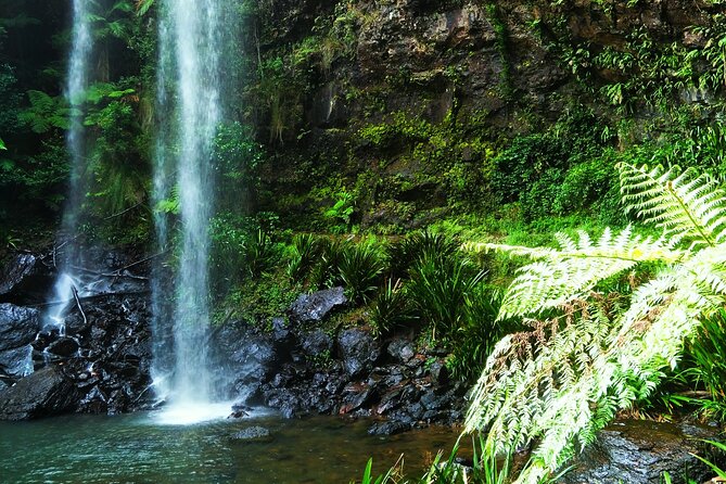 Rainforest Night Walk in Surfers Paradise (Mar ) - Customer Reviews