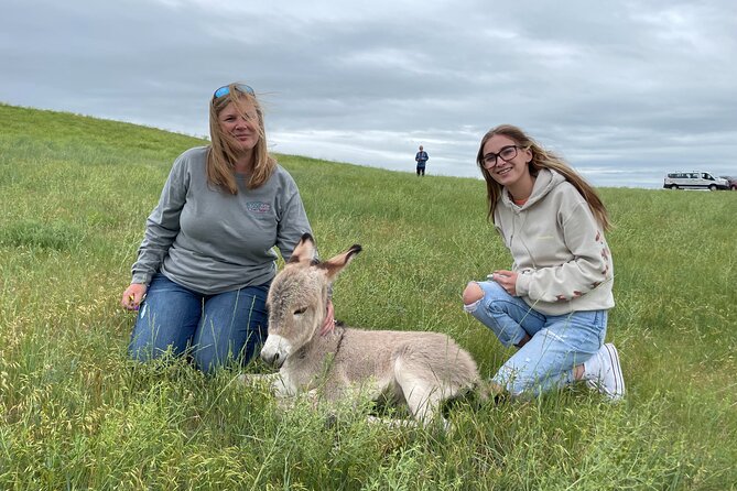 Rapid City Private Full-Day Sightseeing Tour - Unforgettable Sightseeing Experience