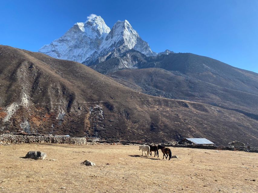 Rapid Everest Base Camp Trek - 9 Days - Transparent Pricing