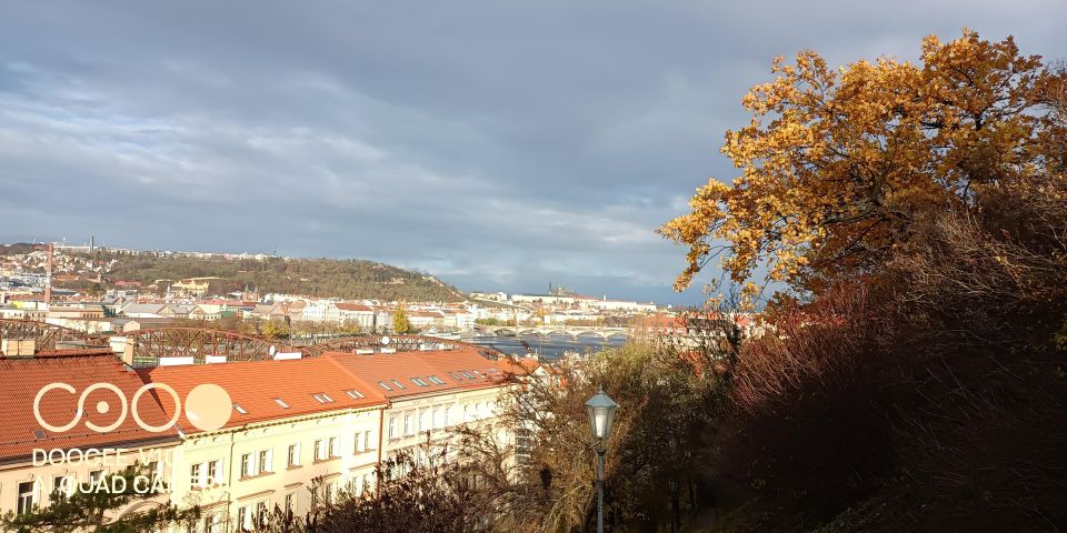 Real Life in Prague - Dog Walk From VyšEhrad to Výtoň - Convenient Meeting Point at Metro