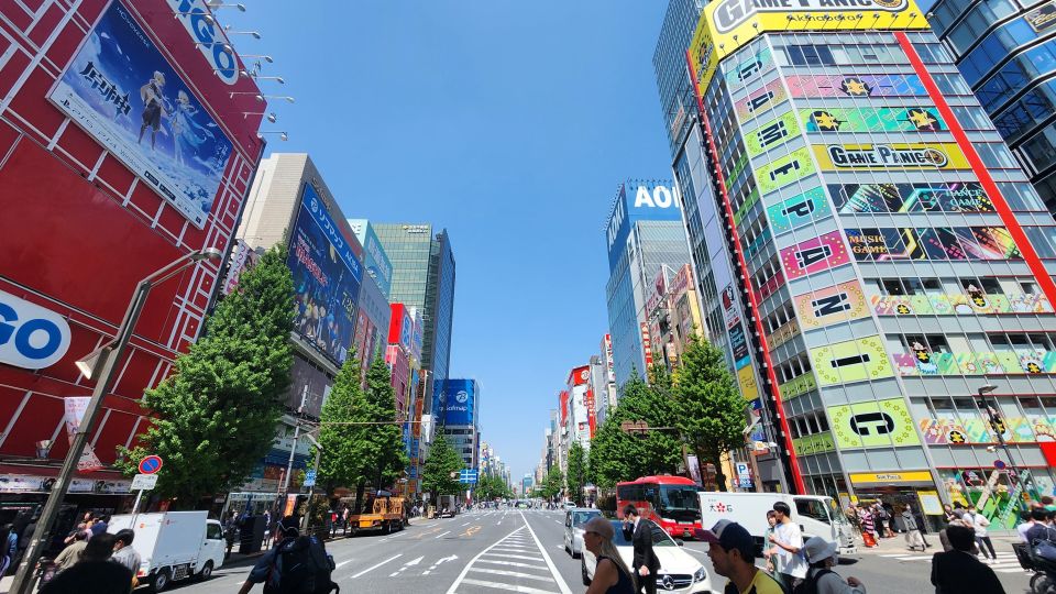 Real Tokyo in One Day With a Local - Panoramic Views of Tokyos Energy