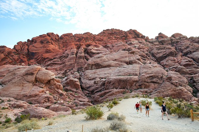 Red Rock Canyon Hiking Tour - Reviews and Recommendations