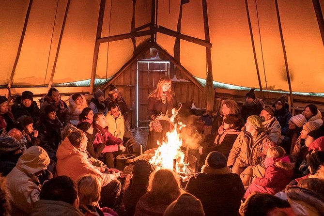 Reindeer Camp Dinner With Chance of Northern Lights in Tromso - Guest Reviews and Reindeer Insights