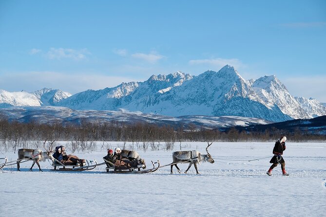 Reindeer Sledding and Feeding With Sami Culture in Tromso. - Directions