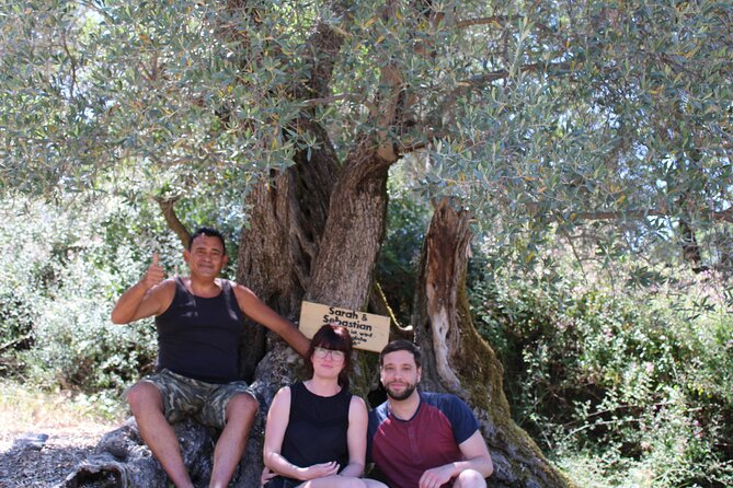 Rethymnon Olive Tree Sponsorship Protect and Plant Tour - Tour Group Exclusivity