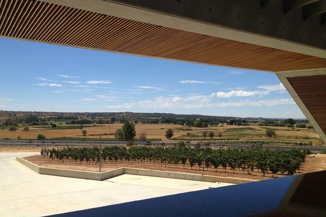 Ribera Del Duero Wineries Guided Tour & Wine Tasting From Madrid - Last Words