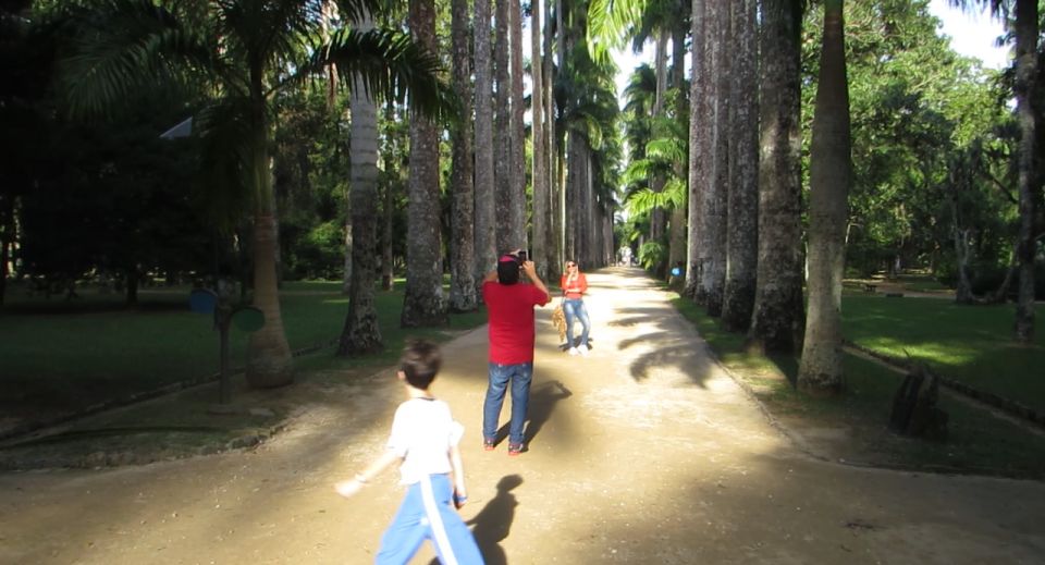 Rio: Botanical Garden, Tijuca Forest, and Parque Lage Tour - Common questions