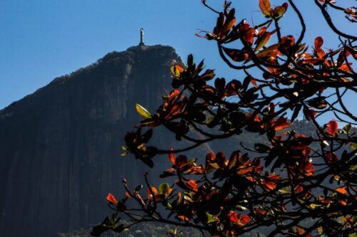 Rio De Janeiro: Guided Bike Tours in Small Groups - Common questions