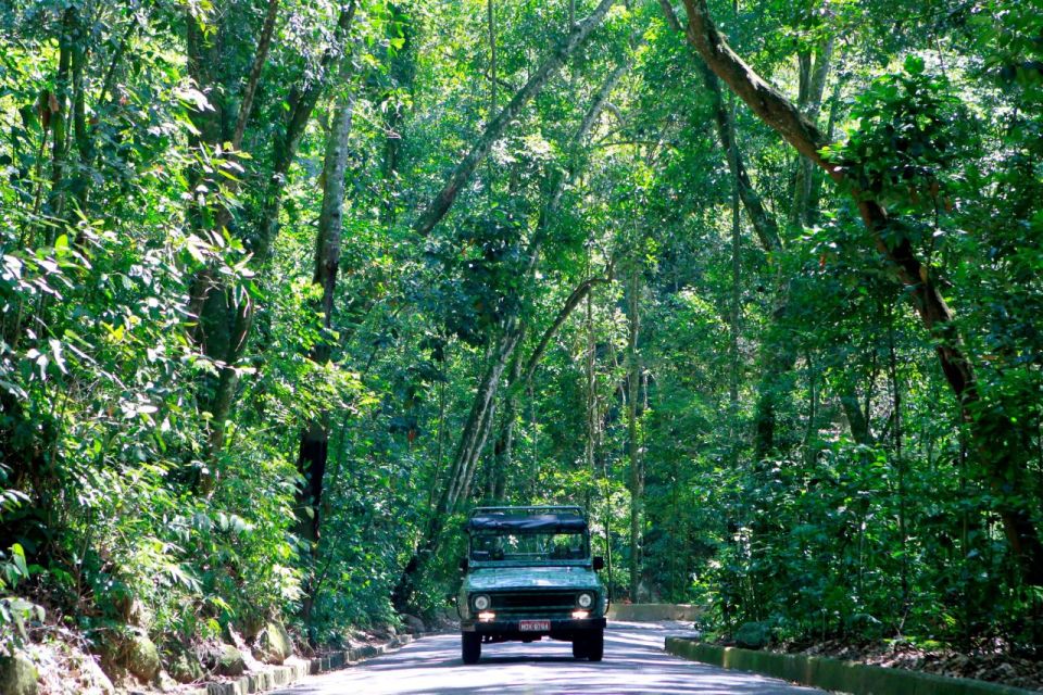 Rio: Jeep Tour to Botanical Garden and Tijuca Forest - Expert Guides and Wildlife Encounters