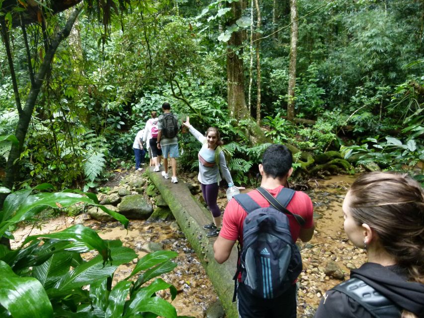 Rio: Tijuca Forest Historical Hike & Cachoeira Das Almas - Common questions