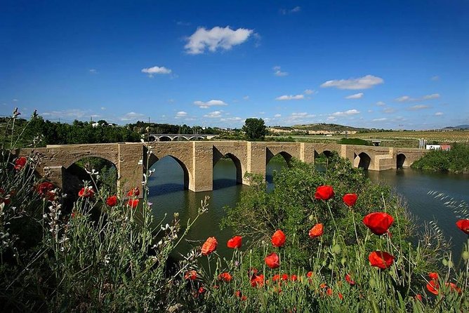 Rioja Alavesa Wineries and Medieval Villages Day Trip - Historical Landmarks to Visit