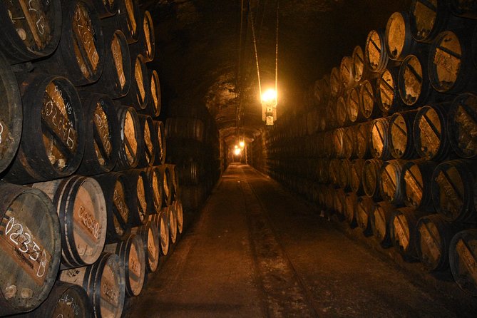 Rioja Alta and Rioja Alavesa Wine Tour - Cancellation Policy Details