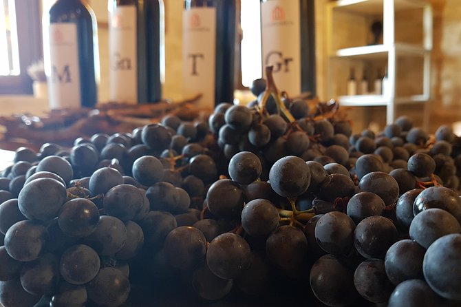 Rioja Wine Tasting Tour From San Sebastian - Last Words