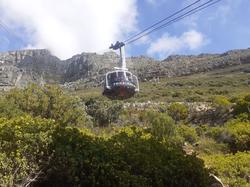 Robben Island, Table Mountain & Kirstenbosch, From Cape Town - Recommendations and Tips for Visitors