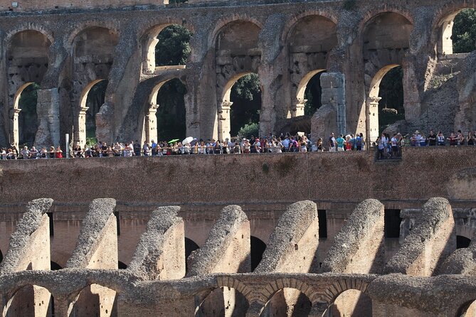 Rome: Skip-the-Line Colosseum, Forum and Palatine Hill Tour - Traveler Reviews