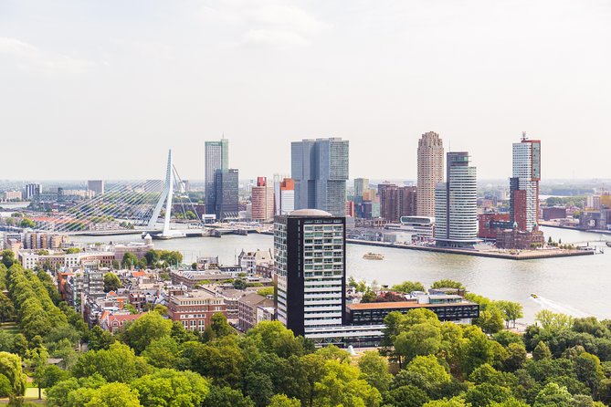 Rotterdam, Delft, the Hague, Madurodam From Amsterdam - Feedback and Recommendations