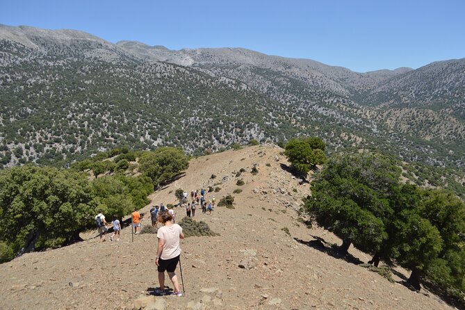Rouvas Gorge Trekking Experience From Heraklion (Mar ) - Refreshments and Meal Options
