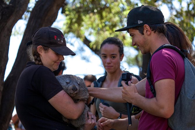 Russell Falls, Mt. Wellington & Tassie Devils Active Day Tour From Hobart - Booking Information