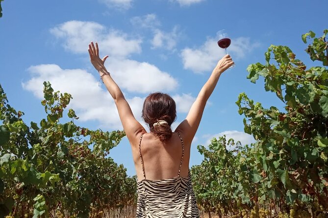 Sa Clasta Mallorca Wine Tours - Common questions
