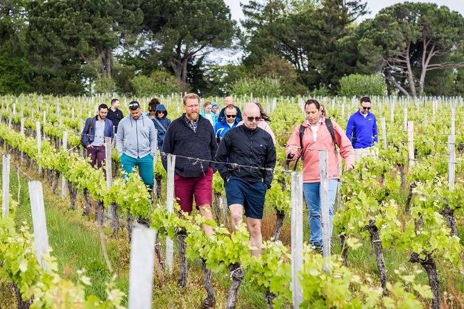 Saint-Georges Saint-Emilion Walking and Biking Tour With Lunch (Mar ) - Contact and Support