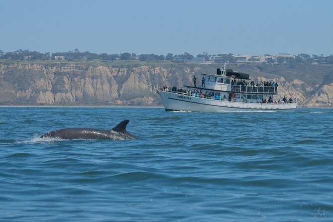 San Diego Whale Watching Tour - Directions