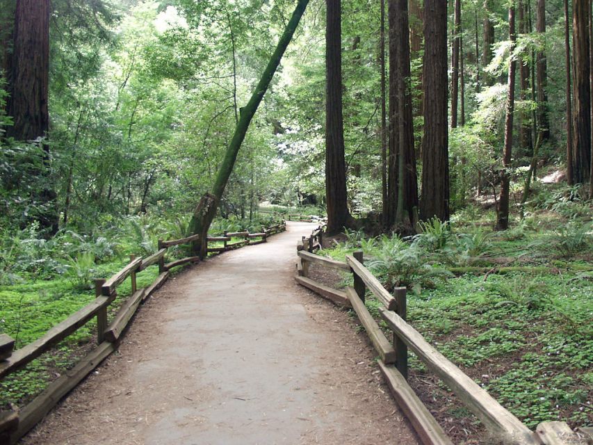 San Francisco: Muir Woods Tour & Hop-On Hop-Off Bus Pass - Tour Departure Information