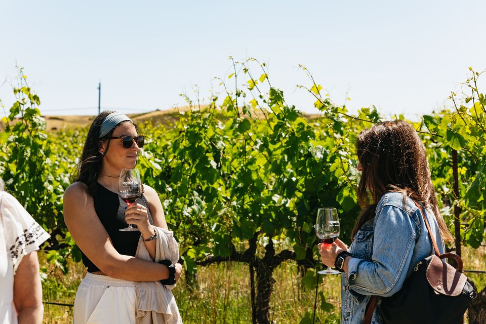 San Francisco: Napa and Sonoma Valley Wine Tour - Highlights