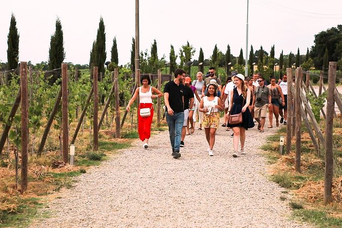 San Gimignano, Siena, Monteriggioni: Fully Escorted Tour, Lunch & Wine Tasting - Common questions