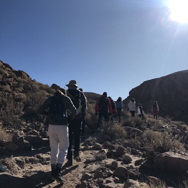 San Pedro De Atacama: Canyon Swimming Pools Trekking Trip - Pickup Service