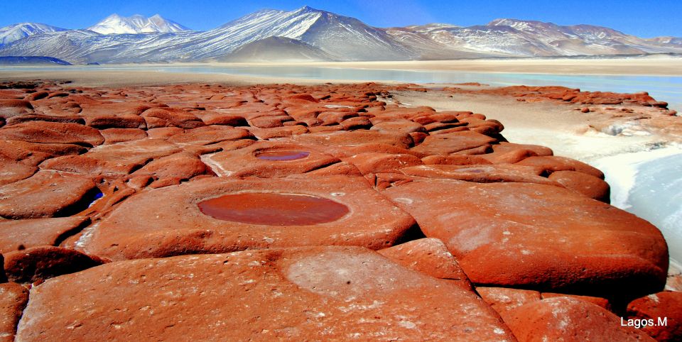 San Pedro De Atacama: Red Rocks & Altiplano Lagoons Day Trip - Customer Reviews & Recommendations