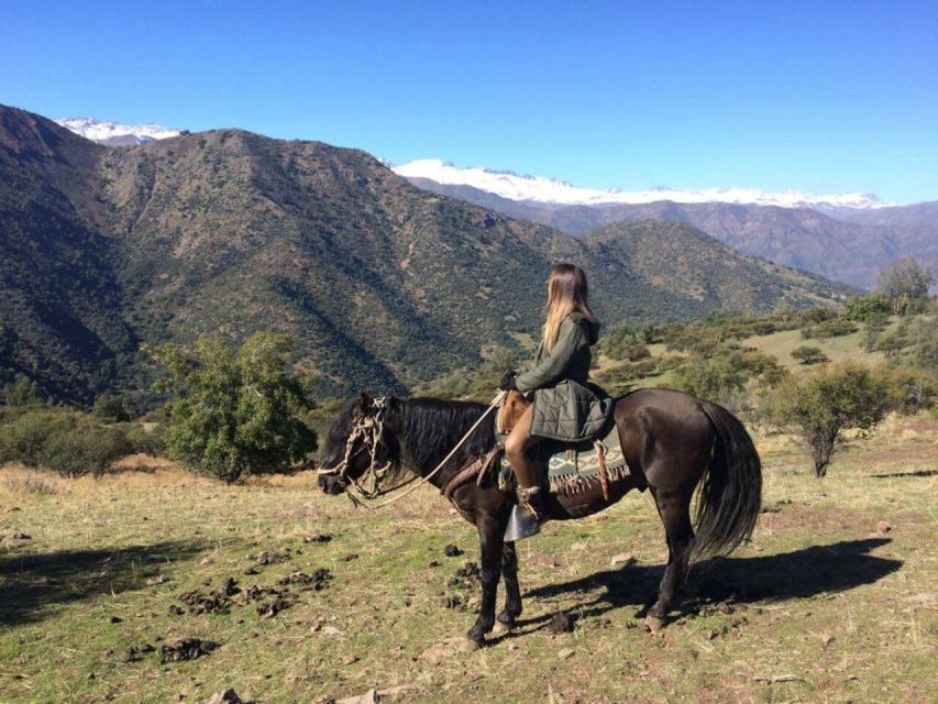 Santiago: Half-Day Private Andean Foothills Horseback Riding - Car Portion Duration for Transportation