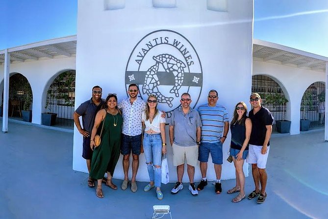 Santorini Half Day Wine Tasting & Winery Tour With Pickup - Last Words