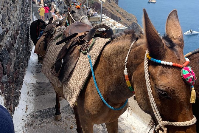 Santorini Local Life Full Day Tour - Common questions