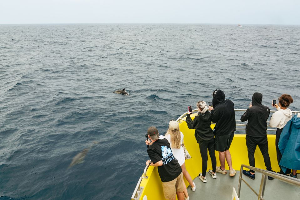 São Miguel Azores: Half-Day Whale Watching Trip - Safety Measures